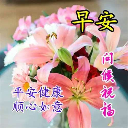 早上好问候祝福语最新早上好图片表情包