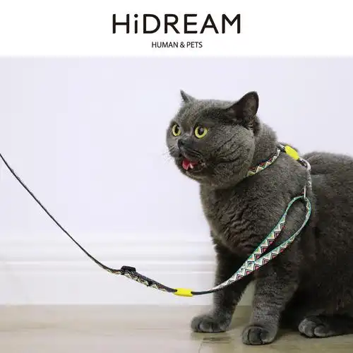 qzee hidream猫项圈 铃铛安全扣防窒息溜猫 英短美短波斯脖圈颈圈