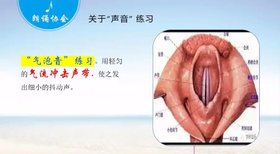 歌唱和朗诵的气息运用及发声位置