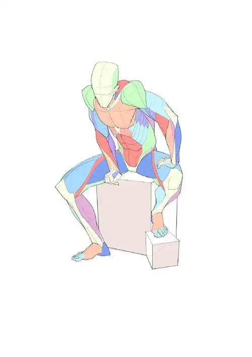 人体肌肉绘画参考  大木画画绘画课堂超话#人体结构##速写##绘画瞬哪