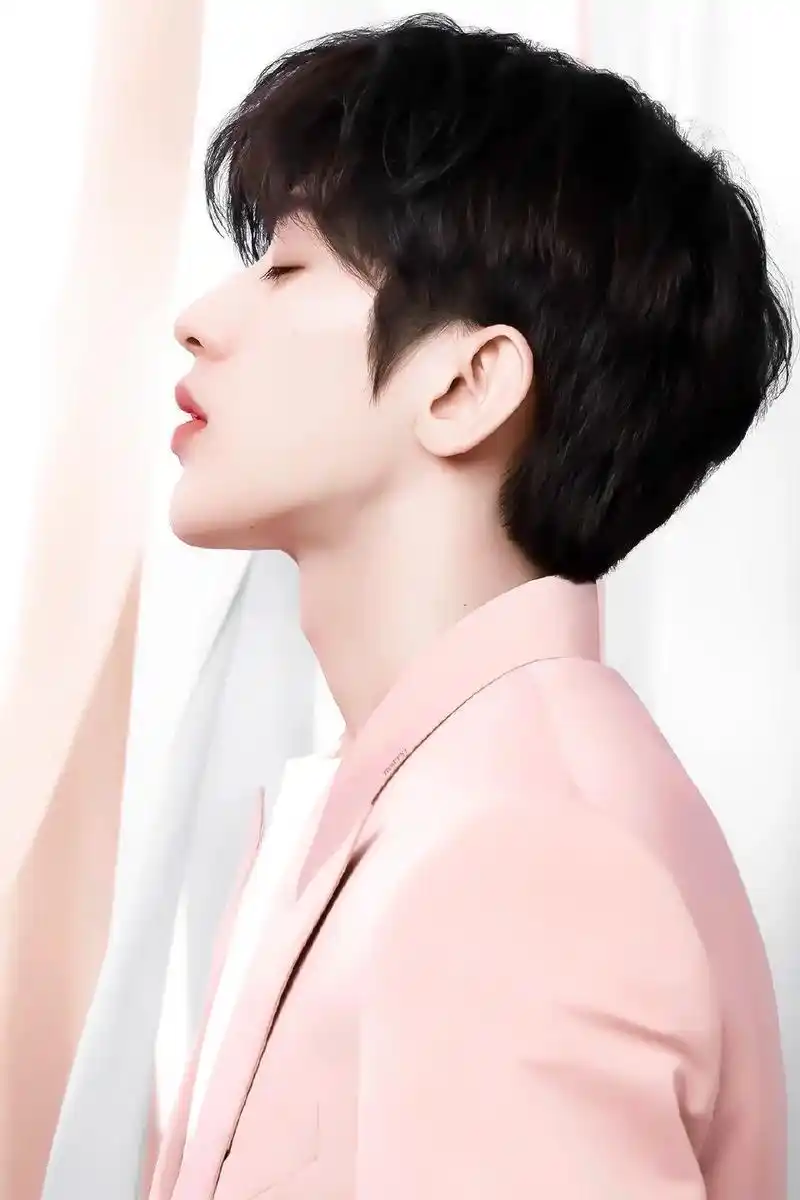 蔡徐坤壁纸累了就往后倒ikun永远是你的靠山