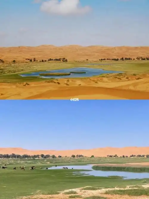 攻略|腾格里沙漠五湖穿越包车流程以及费用