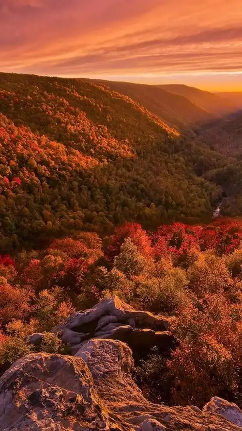 美丽的秋天风景,山,森林,日落 iphone 壁纸