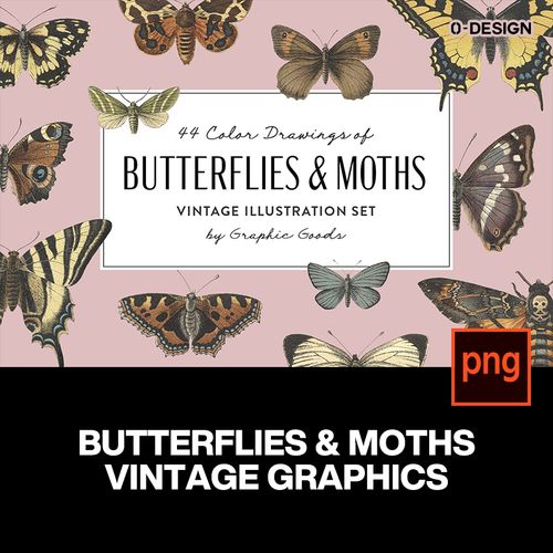 44款复古手绘稀有蝴蝶飞蛾插图标本插画图案png免扣图片设计素材