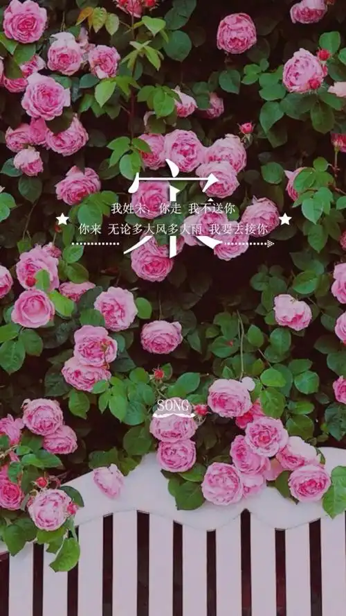 宋- 堆糖,美图壁纸兴趣社区