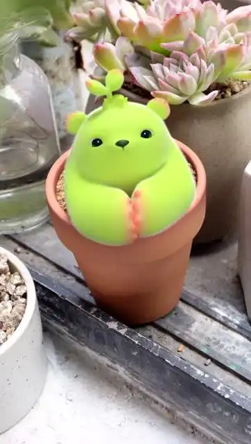 萌芽熊-小视频特别版  熊童子:我家养的小植物竟然开口讲话了!