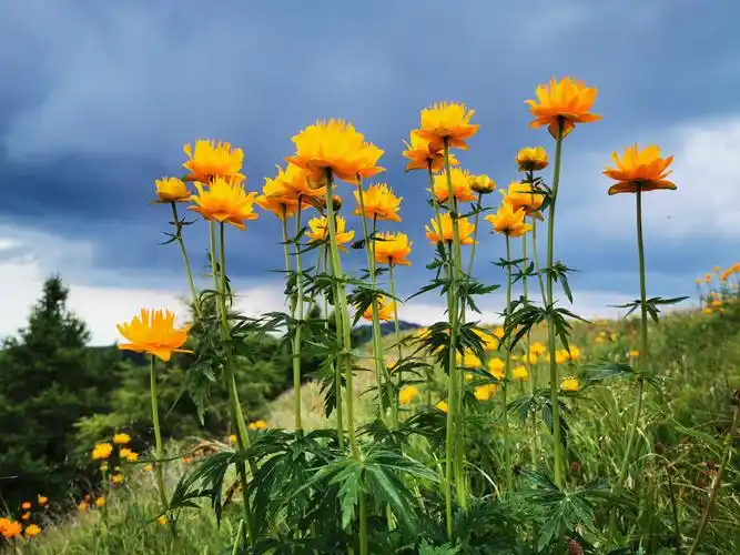 是大自然对人类最好的给予