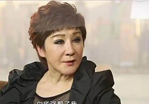 向华强坚持娶她,为何又被陈岚夺爱_经历_母亲_向太