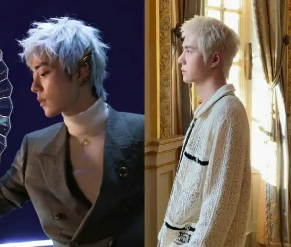 肖战王一博同款造型##肖战王一博同款发型