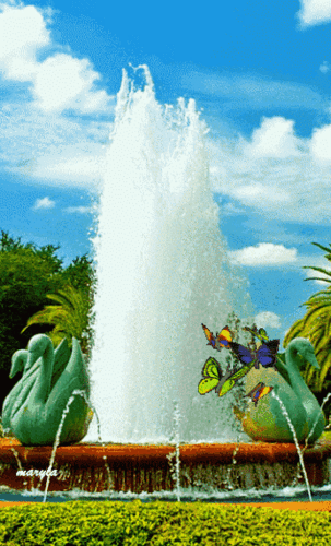 8月6日,太美了,送给你这些会动的照片,希望你看完心情好!