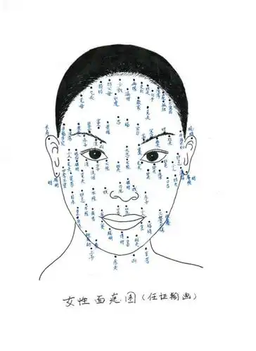 乳房有痣招桃花,肚脐有痣性欲强.全身上下的痣各代表什么?