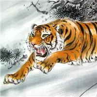 霸气老虎头像图片大全好看的老虎霸气图片头像