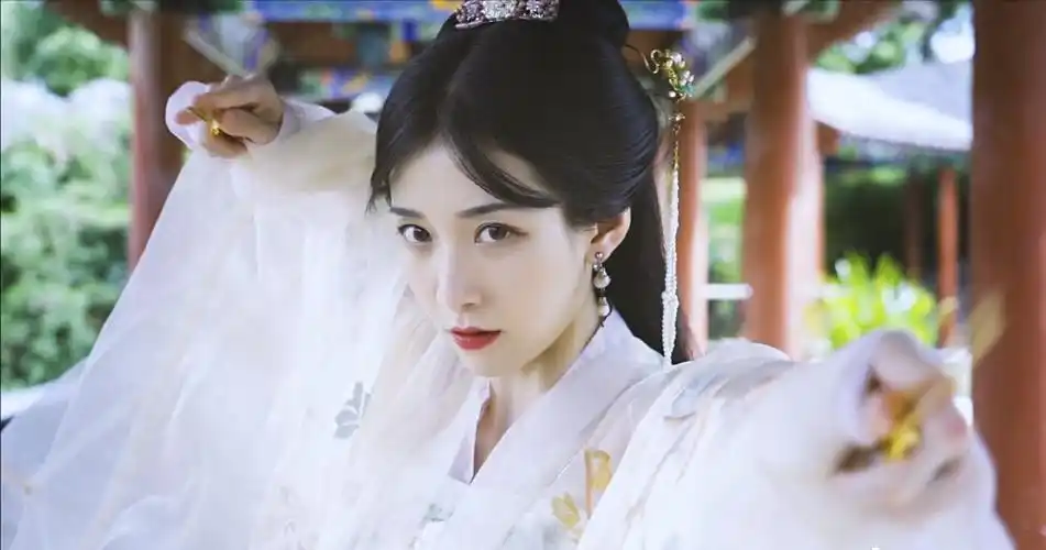 王格格《报告医妃》