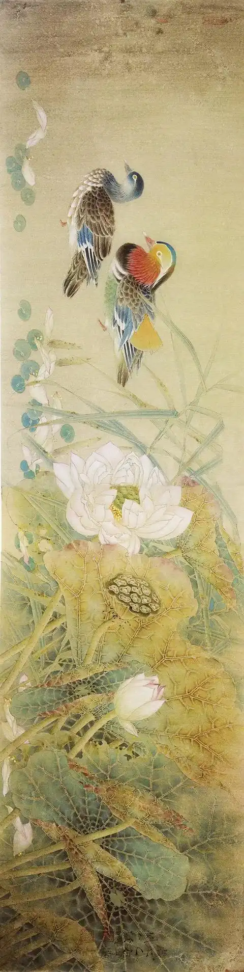 张贤明工笔花鸟作品欣赏