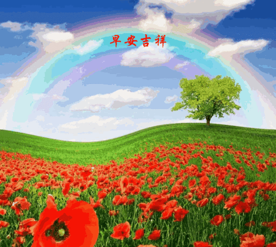 超幸福的漂亮早安问候动态美图祝福语,早安暖心祝福语图片