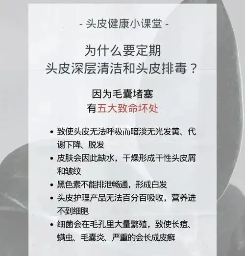 头皮健康小知识