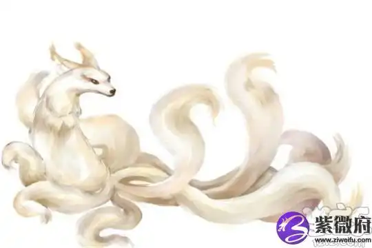 十二星座专属九尾狐-紫微府