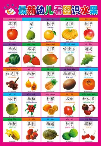 psd幼儿教育认识水果