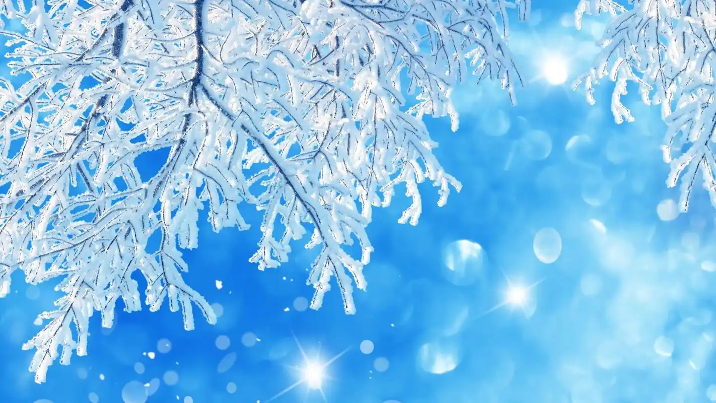 微距摄影美图高清桌面壁纸