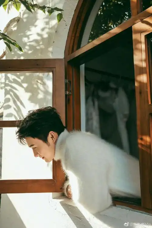 张彬彬11月行程图##张彬彬十一月行程图