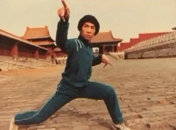 回顾甄子丹给前妻抚养费追求万绮雯为何转身娶了汪诗诗