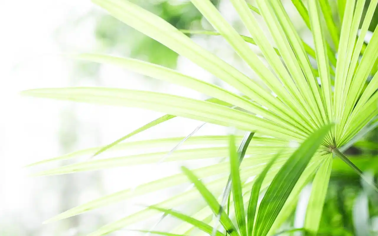 小清新风景图片高清桌面电脑壁纸