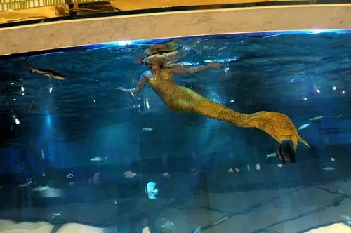 标题:美人鱼表演