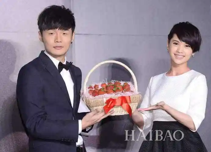 杨丞琳比李荣浩大几岁两人官宣结婚 杨丞琳负面新闻靠恋情洗白吗