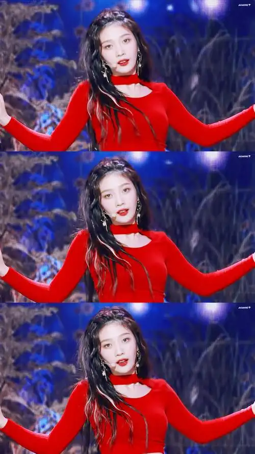 joy 朴秀荣