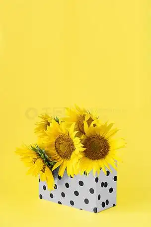 当前位置:>千图>edius2021年图片>320_480竖版 竖屏