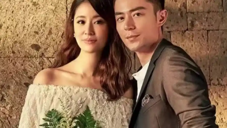 林心如离了婚是真的吗 林心如犯了什么事-大连之家