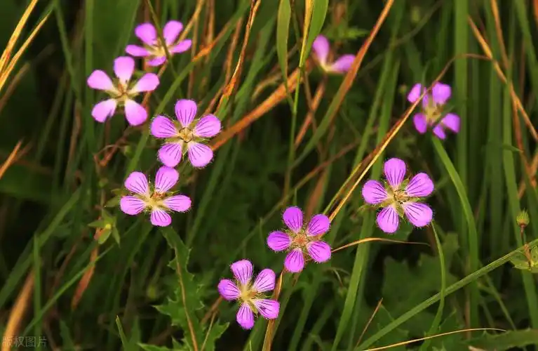 超级有质感的10句ins风高级中英文文案