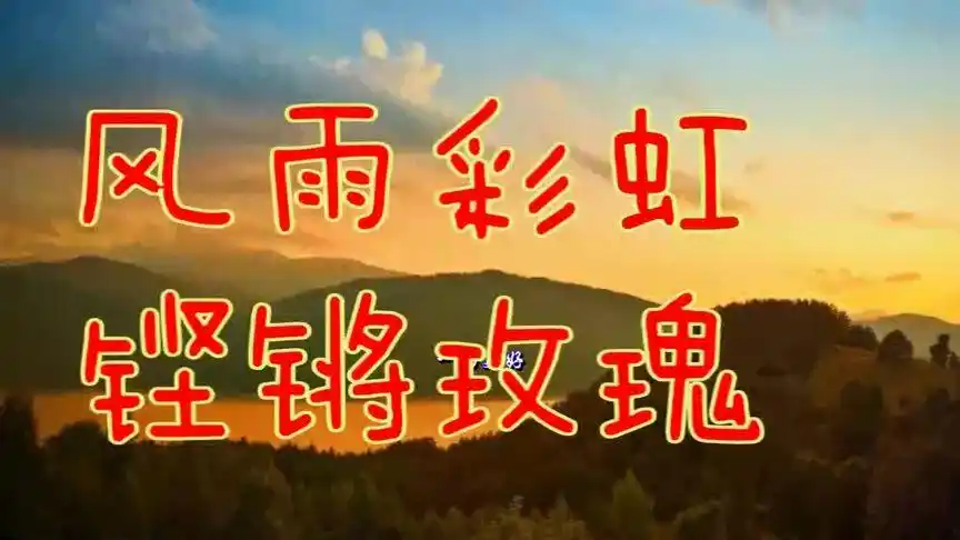 《风雨彩虹铿锵玫瑰》现场版-田震 好醉人