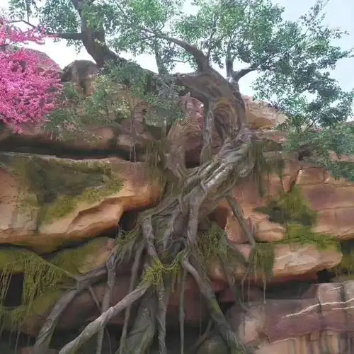 昆山仿真树假树饭店假树厂家水泥榕树制作餐厅假树产地湘岩园林