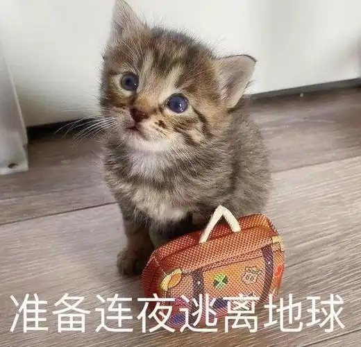 是我多余了,准备连夜逃离地球