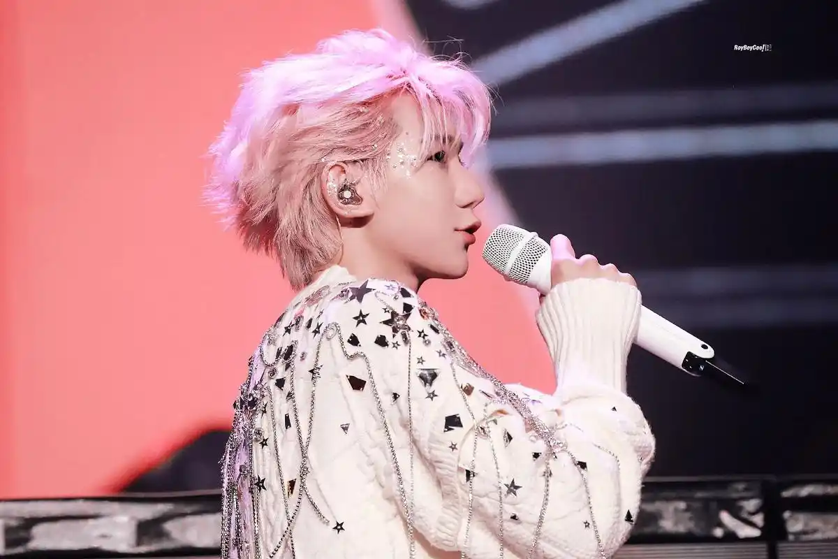 盛世美颜 #王源 #王源演唱会抖音特别场 #王源客厅狂欢巡回演郴会