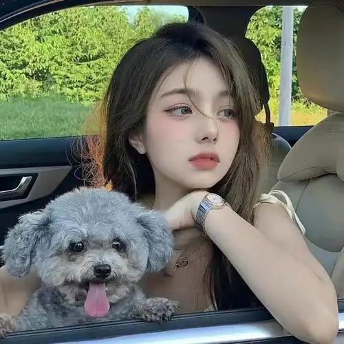 巨招桃花の头像照速成