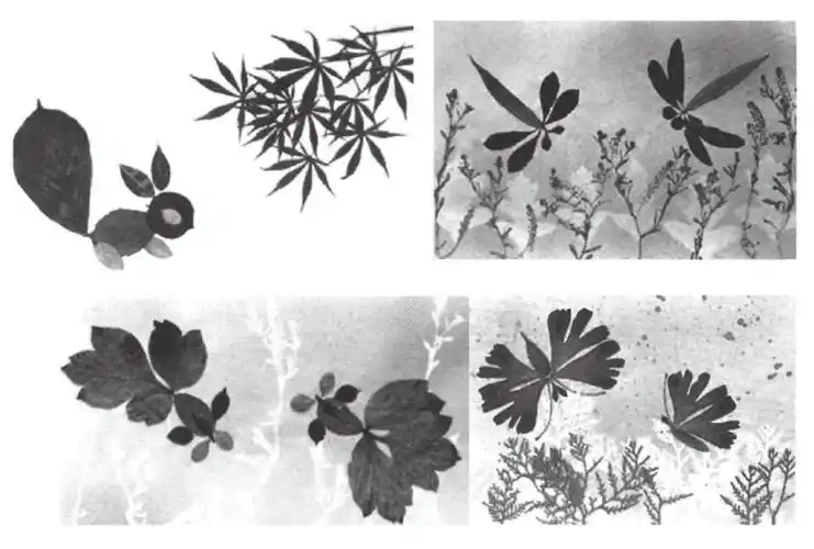 点状材料的粘贴