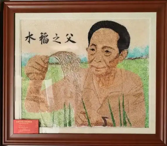图为汪礼根用粮食画向袁隆平院士致敬. 白阳摄