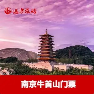 牛首山文化旅游区 大门票