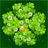 带有水珠的幸运草图片有露珠的幸运草头像点击鼠标右键下载