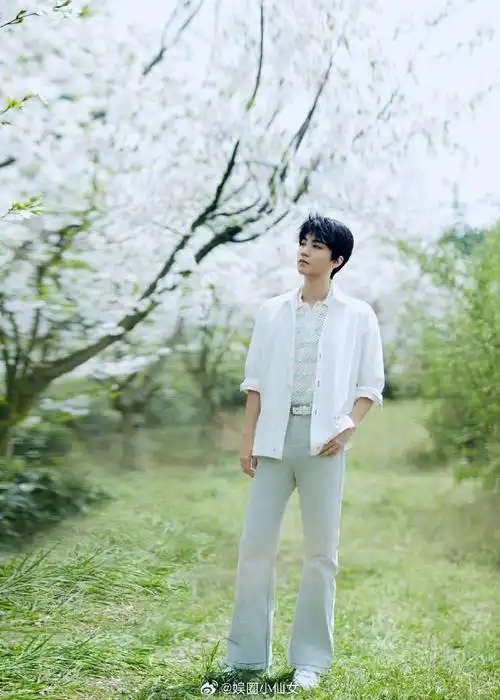 王俊凯近期状态