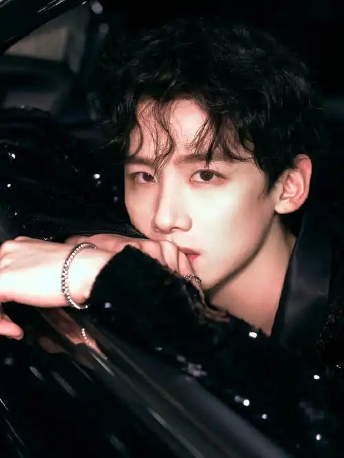 白敬亭黑色亮片西装