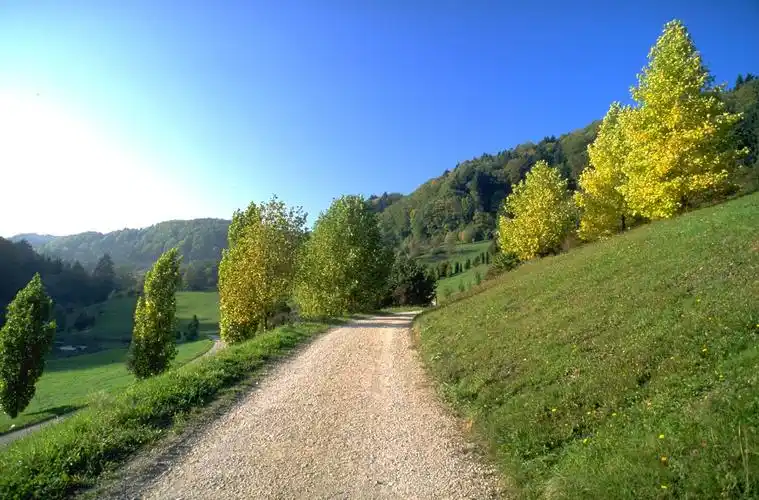 树木高清图片素材二(30p)[中国photoshop资源网|ps教程|psd模板|照片