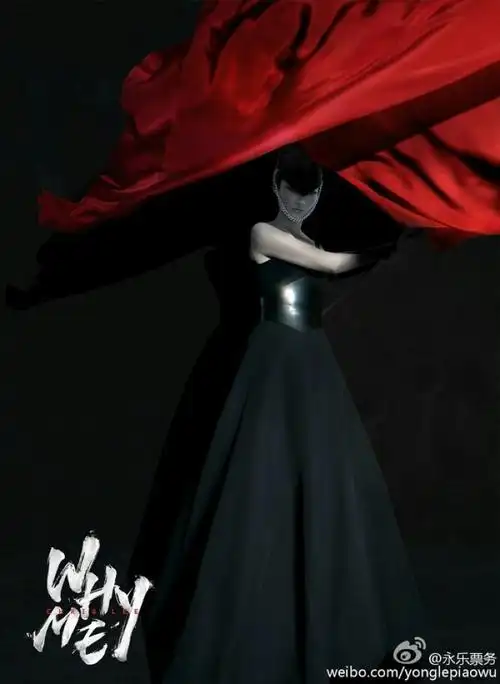 李宇春演唱会 海报 图片来源见logo