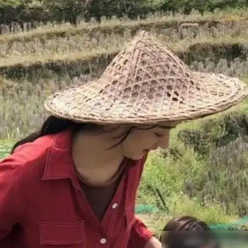 赵丽颖拍农村戏被骂,谁注意她穿的"裤子"?剧粉纷纷直呼太失望