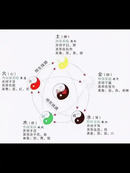 中医养生五行相生相克的应用