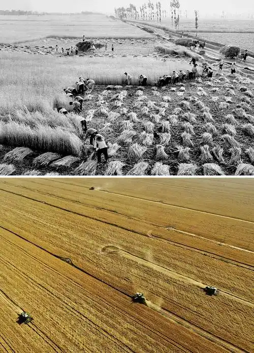 河南农业生产方式的变化