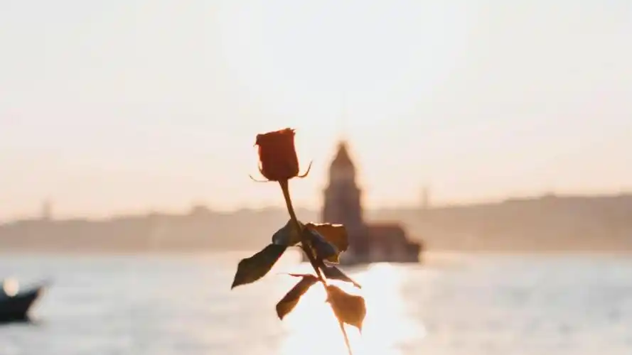 适合分手后发的朋友圈文案关于分手的文案短句