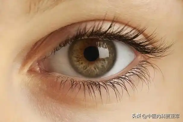 中医奇才倪海厦的绝技眼诊身体哪不好看看眼睛就知道